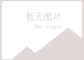 和龙白山化学有限公司